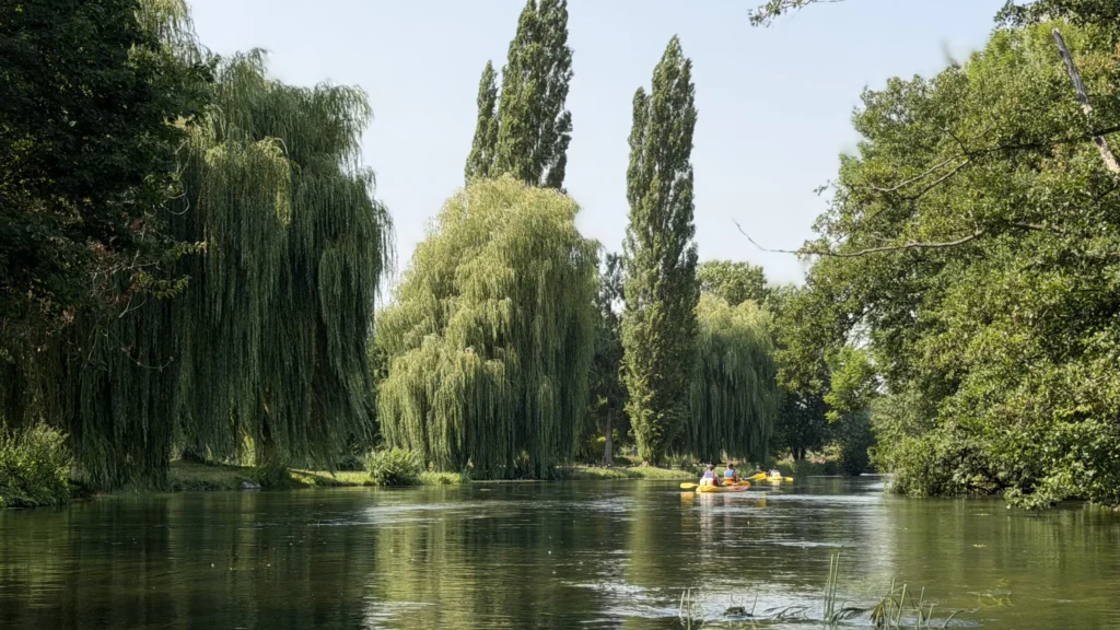 Parcours Moulin + Druides