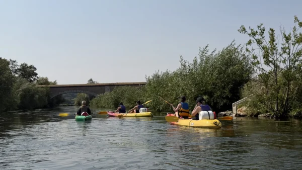 Parcours Druides